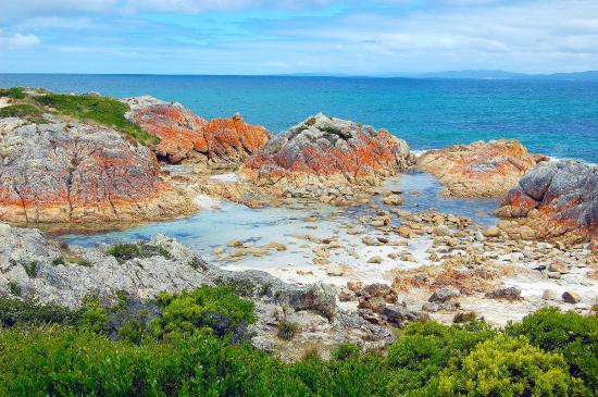 Mount William National Park