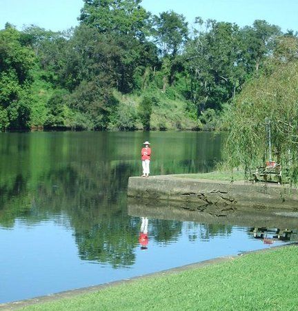 Wingham Foreshore Recreation Reserve