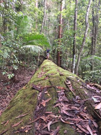 Whian Whian State Conservation Area