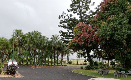 Whitsunday Gold Coffee Plantation