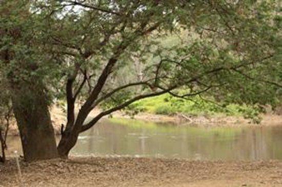 Pioneer Bridges Camping Reserve