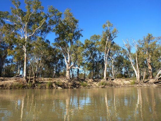 Murray River National Park