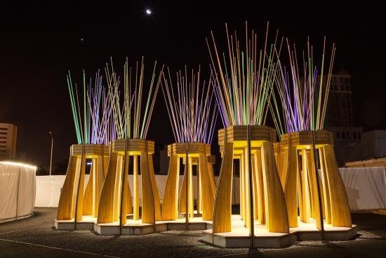 Tree Houses for Swamp Dwellers