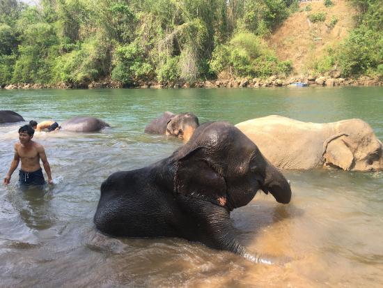 Saiyok Elephant Park