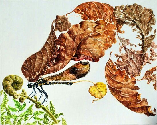 Banyu Bening Art House