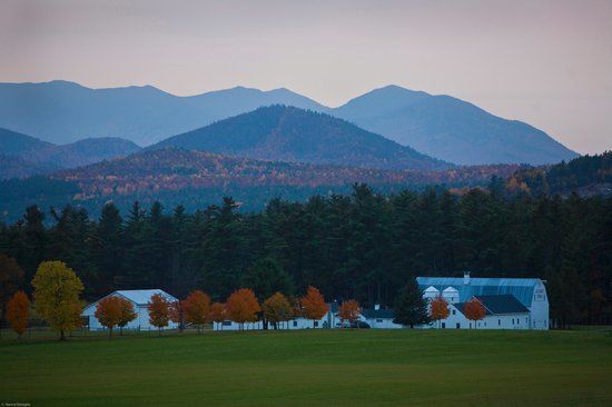 Asgaard Farm & Dairy