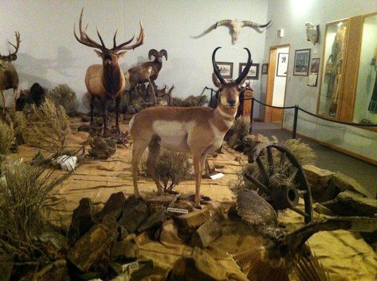 Ninepipes Museum of Early Montana