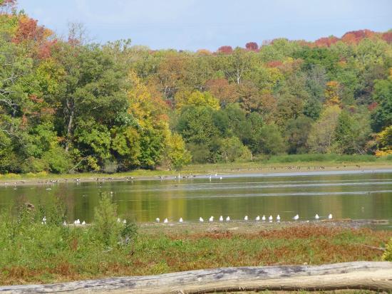 Hueston Woods State Park