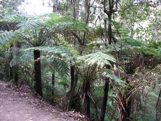 Badger Weir Picnic Area