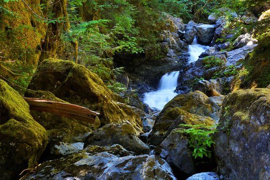 Rosewall Creek Provincial Park