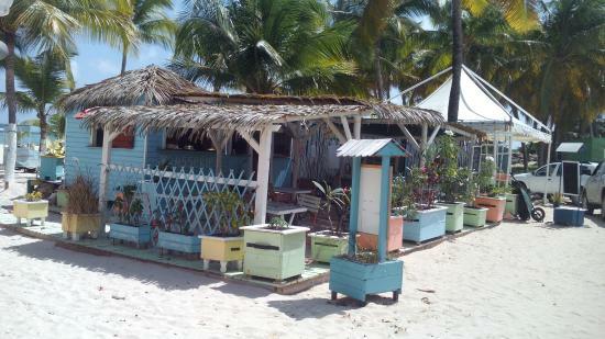Les Pieds Dans le Sable