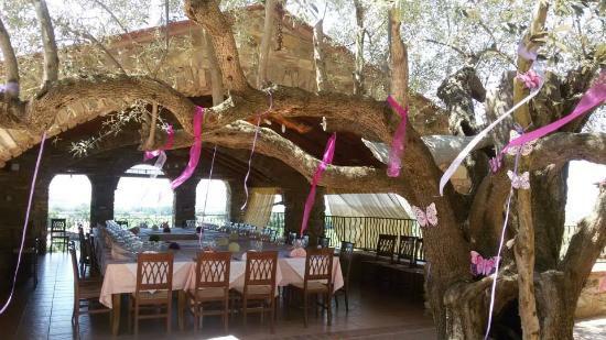 Agriturismo Spennagalli