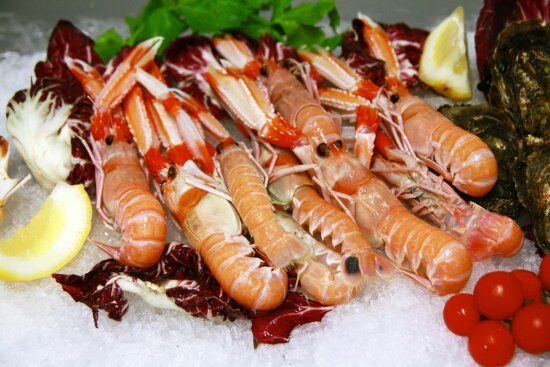 Stabilimento Il Marinaro