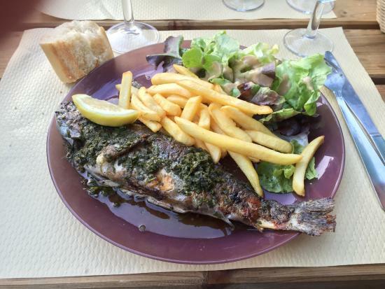 Pisciculture du Laudot