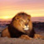 Restaurante Comidas Caseira