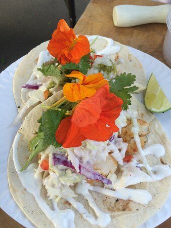 Maritime Fish Tacos by CS Fishery
