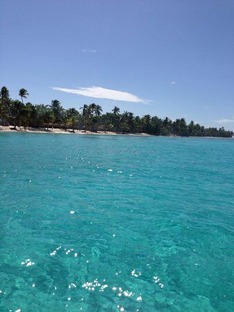 Da ylli bar pizzeria