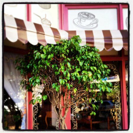 Atelie Santo Brigadeiro