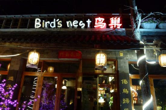 Bird's Nest