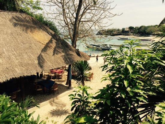 Mola Mola Coffee Shop