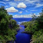 Fer's Brunch and Lunch