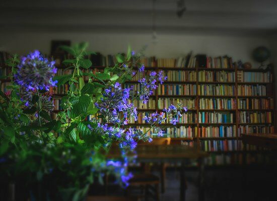 La Cena di Pitagora Locanda vegana