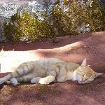 Casa del Giovane di Poleo