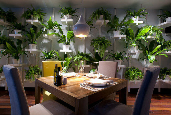 Restaurant & Wine Bar Aleksandar