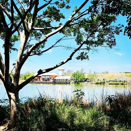 Moselles Cafe + Restaurant