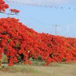 The Vintage Teacup & Craft Shop