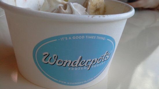 Wonderpots Frozen Yogurt