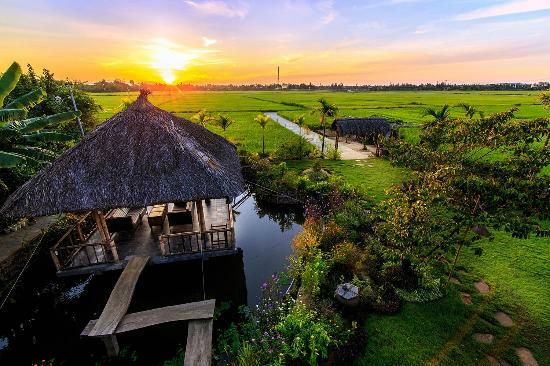 The Field Hoi An