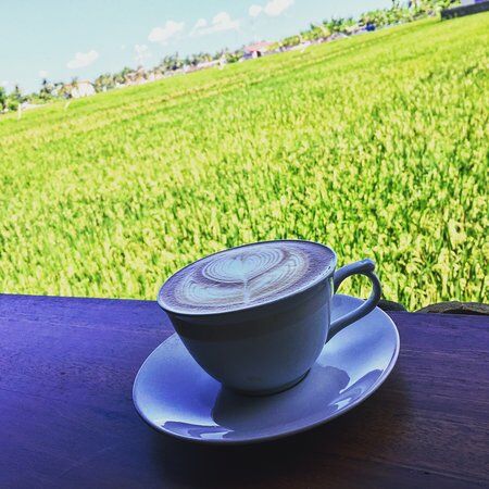 Lenon's Coffee and Bar